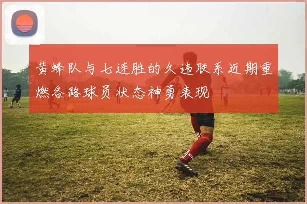 黄蜂队与七连胜的久违联系近期重燃各路球员状态神勇表现