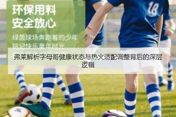 弗莱解析字母哥健康状态与热火适配调整背后的深层逻辑（HTHSPORTS）