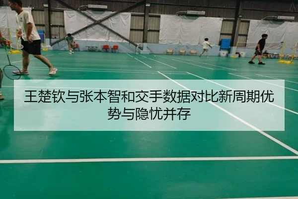 王楚钦与张本智和交手数据对比新周期优势与隐忧并存（HTHSPORTS）